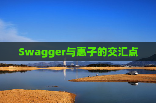 Swagger与惠子的交汇点